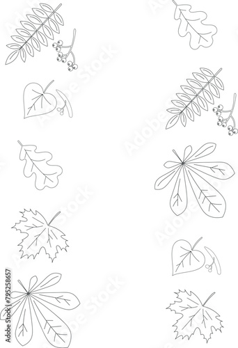 Autumn matching activity for children. Simple educational game for kids with leaves. Printable black and white worksheet. Find the same leaves.