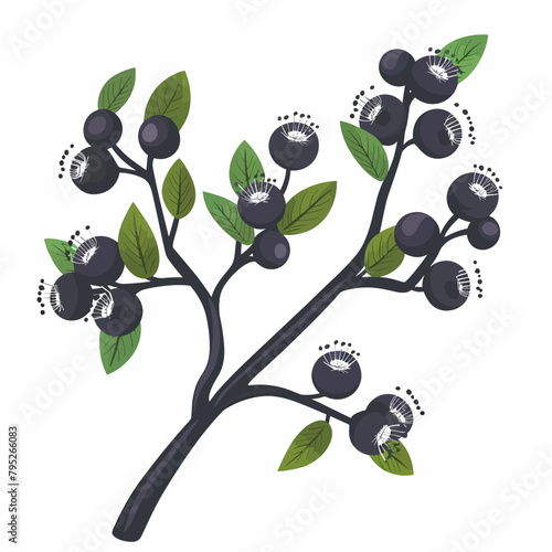 A tree with many blue Blackthorn on it