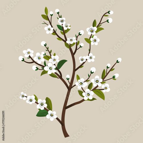 A white flower tree with green leaves and white flowers