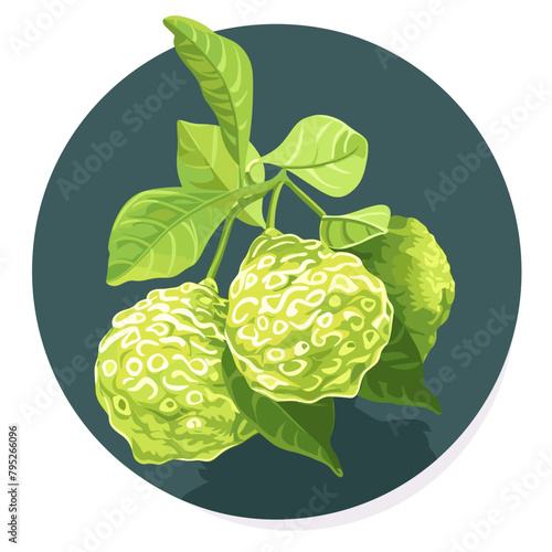 Three green Bergamot with white spots on them. The fruits are clustered together on a leaf. The image has a calm and peaceful mood