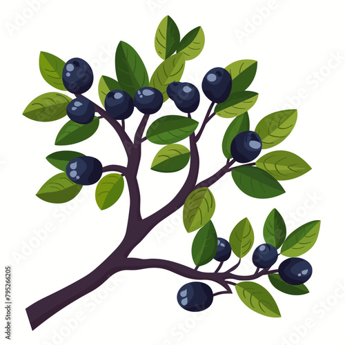 A tree Blackthorn with green leaves and blue berries