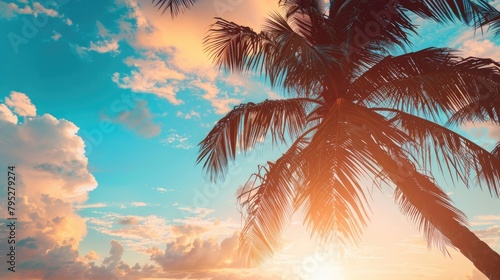 Summer beach background palm trees against blue sky banner panorama, travel destination. Tropical beach background with palm trees silhouette at sunset. Vintage effect. Meditation peaceful nature view © Alizeh