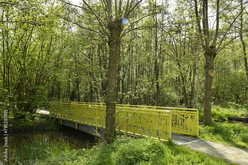 Petit pont à rambarde peinte en vert dans le bois du Vrijbroekpark à Malines photo