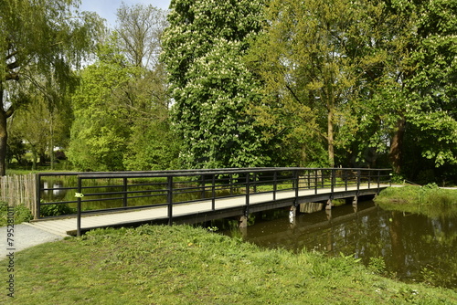 Pont en bois traversant l'étang-canal sous la végétation luxuriante au Vrijbroekpark à Malines 