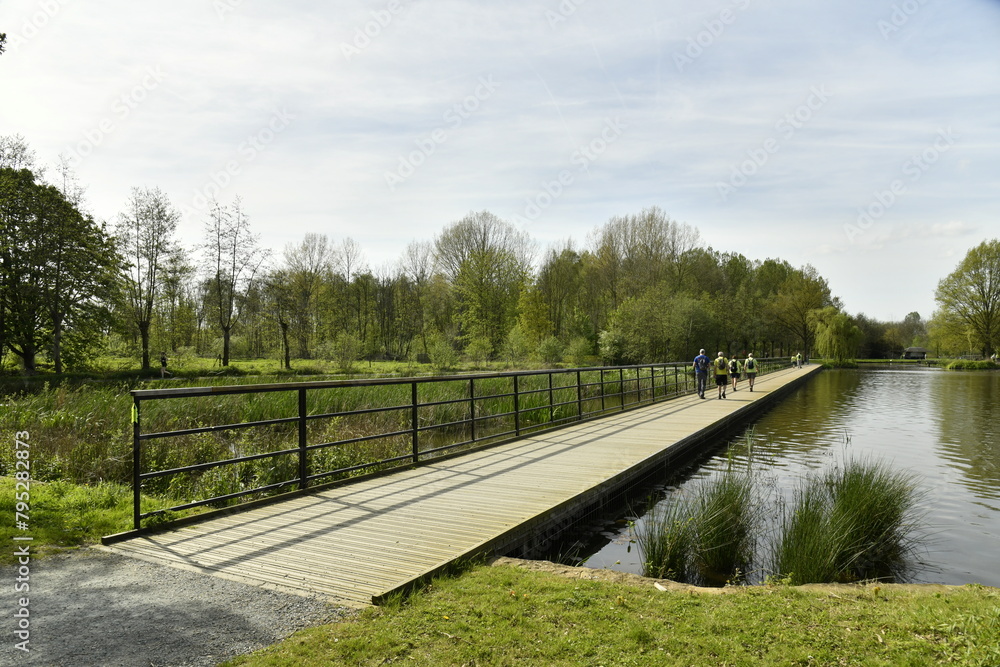 La passerelle-promenade longeant les berges verdoyantes de l'étang principal au Vrijbroekpark à Malines La passerelle-promenade longeant les berges verdoyantes de l'étang principal au Vrijbroekpark à Malines