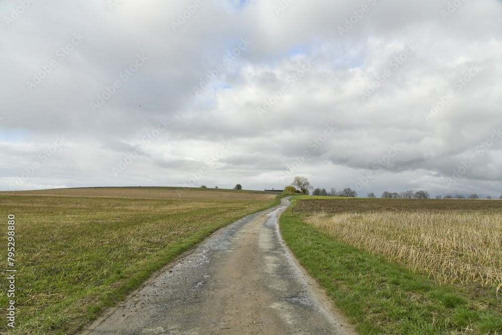 Petite route de campagne étroite entre les champs sous un ciel gris à Ghislenghien (Ath) Petite route de campagne étroite entre les champs sous un ciel gris à Ghislenghien (Ath)