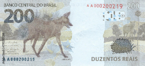 Vector reverse high polygonal pixel mosaic banknote of Brazil. Denominations of bill 200 reals. Game indian money of flyer. part 2