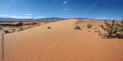 Photo Of a Hot Arabic Desert