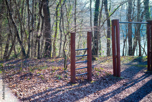 Forest Fitness Haven: Exercise Area Amidst Nature's Beauty