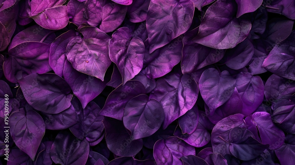 Elegant Purple Wallpaper: Adding Sophistication to Your Space Elegant Purple Wallpaper: Adding Sophistication to Your Space