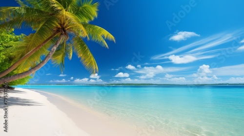 A tropical beach with palm trees and crystal clear waters © Cloudyew