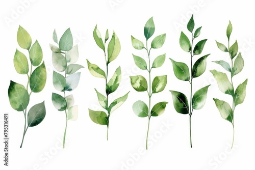 watercolor greenery collection botanical spring leaves and twigs