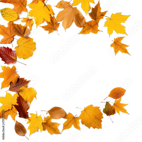 A frame of autumn yellow and brown leaves on a white background