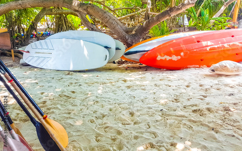 Canoe tour boat in tropical island nature Rasdhoo island Maldives. photo