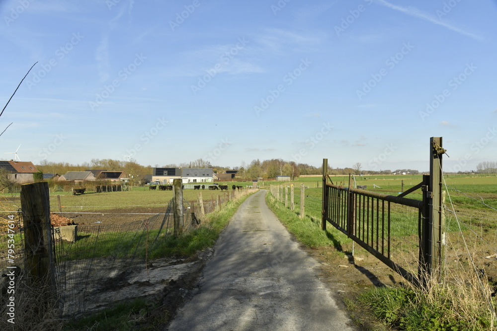 Chemin de campagne asphalté entre pâturages à Ghislenghien Chemin de campagne asphalté entre pâturages à Ghislenghien