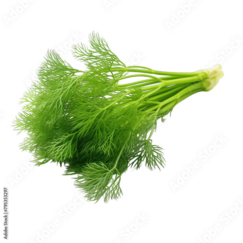 A green sprig of dill isolated on white background photo