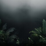 Black abstract nature blurred background gradient backdrop. Ecology concept for your graphic design, banner or poster blank empty with copy space