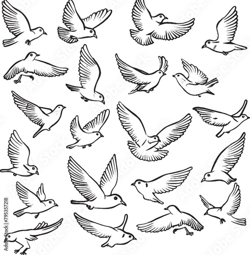 set colombe © blindblues