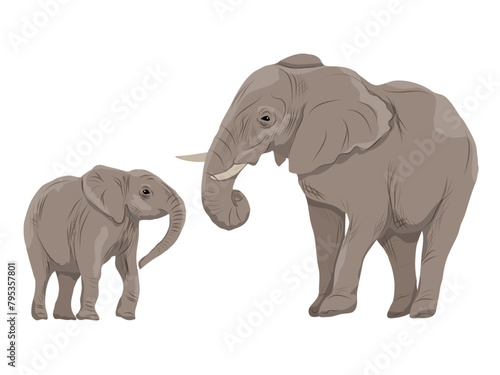 African elephant with calf. Realistic vector animal of Africa