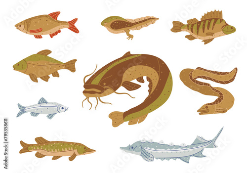 Lake river fish underwater animal
