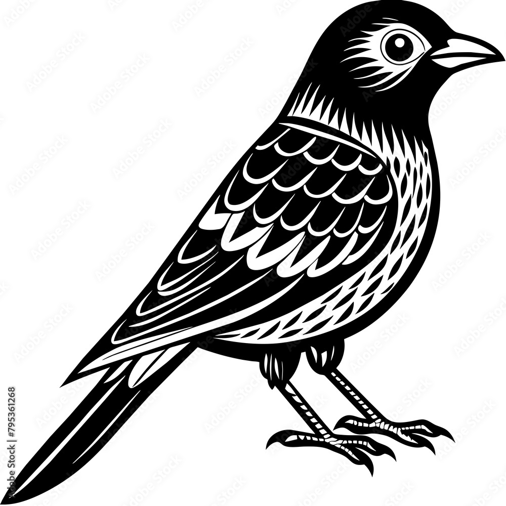 Fototapeta premiumBird vector illustration