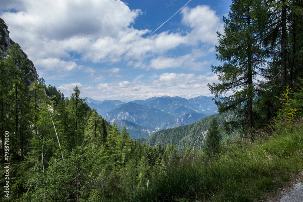 Obraz premium Vista dall'alto, lungo i pendii di un monte, di un bellissimo ambiente naturale di montagna nel nord-est Italia, in Friuli Venezia Giulia, vicino a Tarvisio, sotto un cielo nuvoloso, in estate