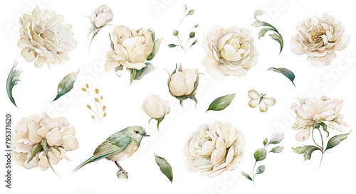Watercolor white flowers set 