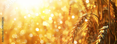 Nature's symphony: soft bokeh illuminates isolated ears of wheat in motion.