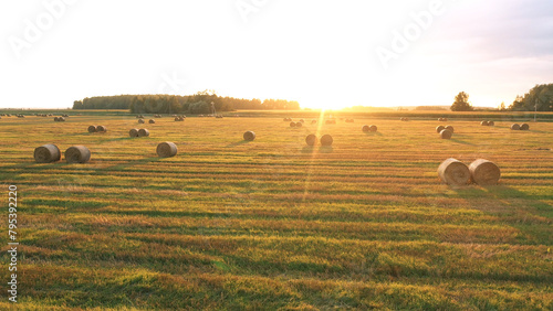 Calm idyllic picturesque summer landscape countryside at sunset on summer evening. Flying at sun over agricultural field after harvesting with hay rolls to rural road and cornfield. Sun rays shine