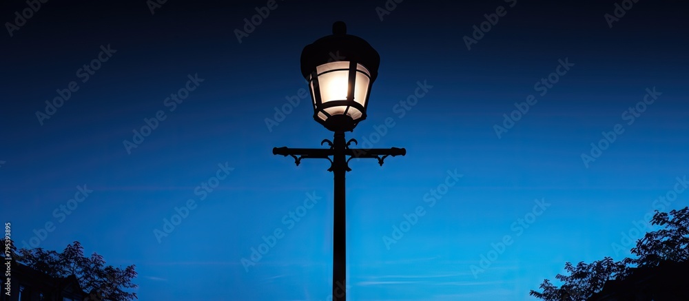 Obraz premium Streetlight shines brightly in the night