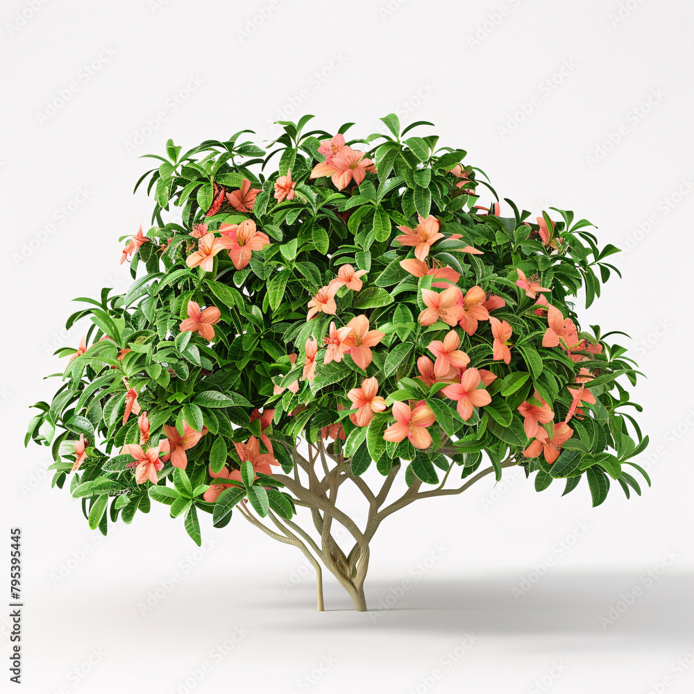a professional-grade 3D illustration highlighting the elegance of a Crossandra infundibuliformis bush, perfectly isolated against a white background for a clean and polished presentation 