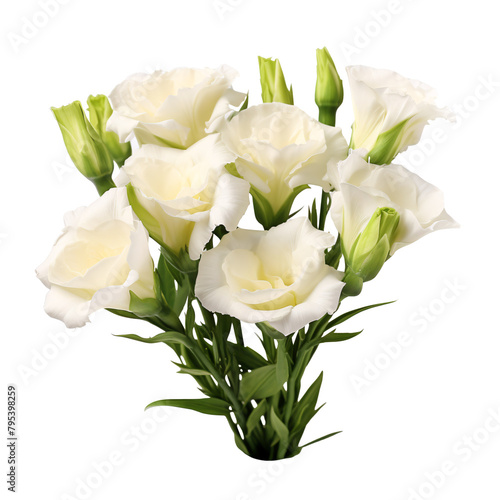 a bouquet of white flowers © Dumitru