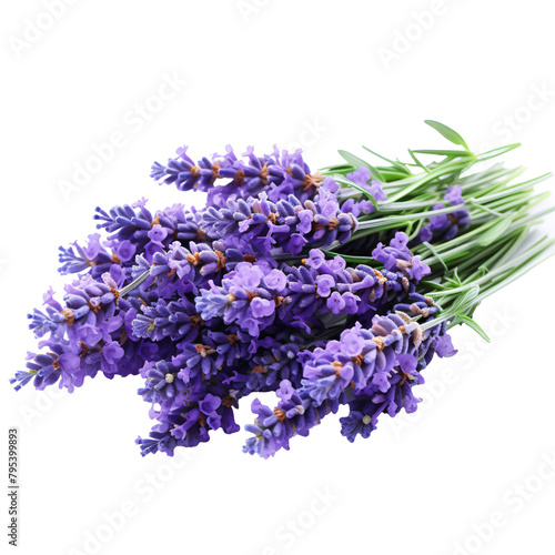 a bunch of purple flowers