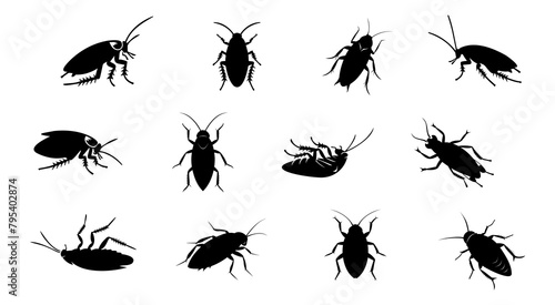 Set of Black silhouettes of cockroaches isolated on white background. Black and white illustration. Icon, sign, pictogram. Pest control and infestation concept for design, print, educational material