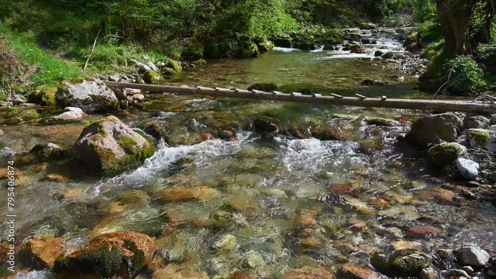 Crystal clear mountain river. Water flowing. A log above the river. Small bridge. Crystal clear mountain river. Water flowing. A log above the river. Small bridge.