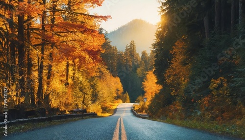 beautiful autumn colors on a country road in snoqualmie wa photo