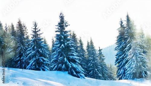 snowy spruce forest painted with watercolor and isolated on white background © Kira