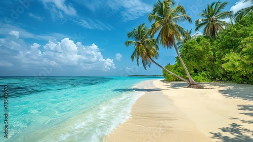 Luxurious tropical landscape. White sand with palm trees and azure sea. A heavenly place to relax. Beautiful exotic summer beach background for design.