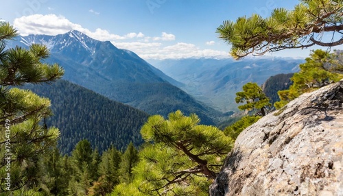 relict pine grows from a rock in the mountains photo
