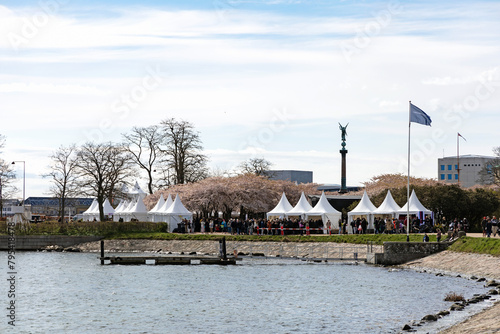 Cherry Blossom in Langelinie park. Crowd of people in the park at the sakura festival in Copenhagen
