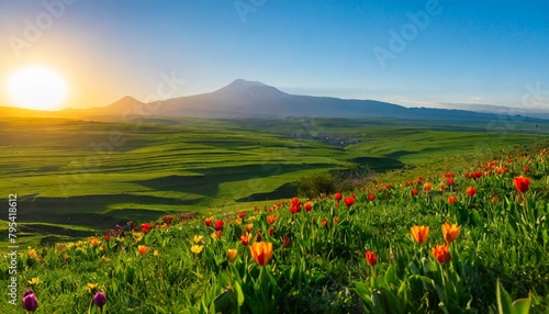 view of a countryside landscape at sunset in spring with flowers blooming in aragatsotn province of armenia photo