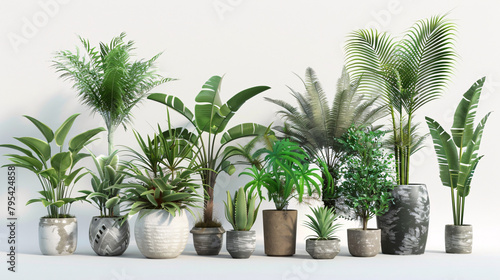 green tropical houseplant pots white background  photo