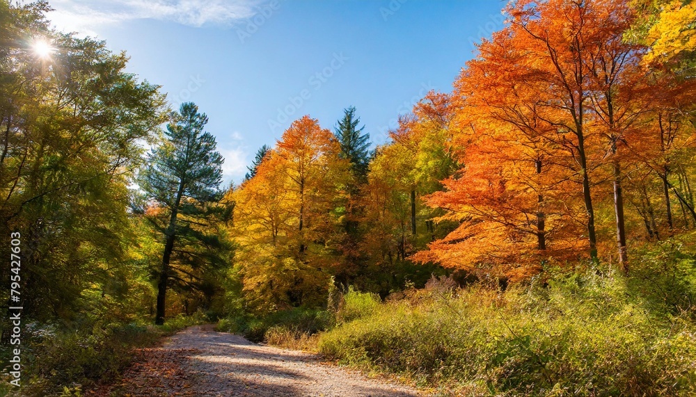 a forest with trees in various stages of autumn the trees are mostly orange but some are still green scene is peaceful and serene as the trees are in a natural setting