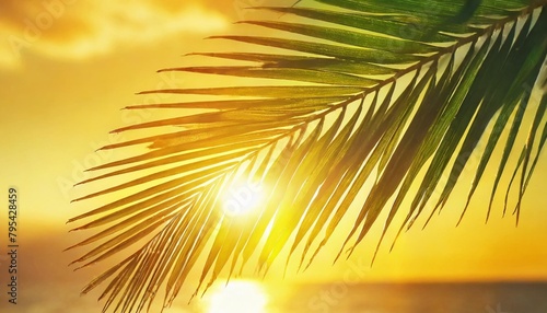 palm leaves against the yellow sunset sky natural background horizontal banner