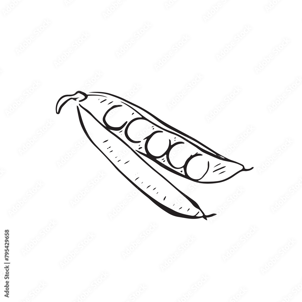 A line drawn illustration of sugar snap peas in black line. Drawn by hand and vectorised for a. variety of uses.