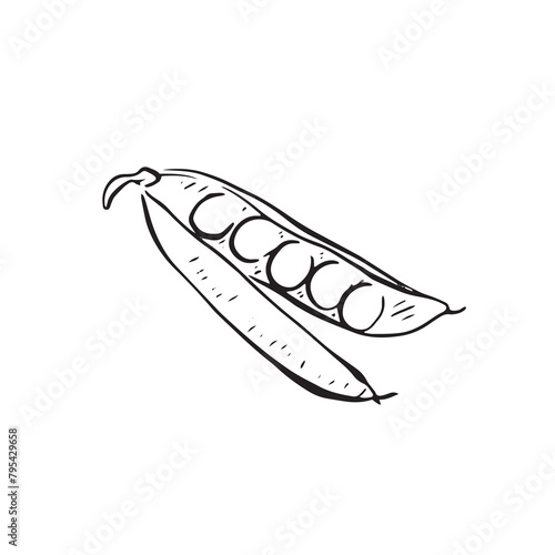 A line drawn illustration of sugar snap peas in black line. Drawn by hand and vectorised for a. variety of uses.