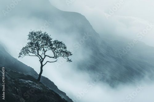 A lone tree standing against a backdrop of misty mountains, its branches swaying gently in the breeze, evoking feelings of introspection and contemplative solitude. 