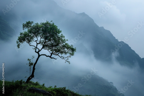 A lone tree standing against a backdrop of misty mountains, its branches swaying gently in the breeze, evoking feelings of introspection and contemplative solitude.  © grey