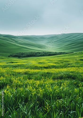 b'Green rolling hills in Tuscany, Italy'