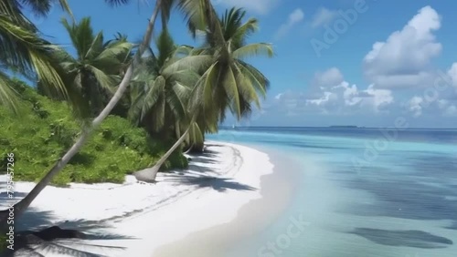 Tropical Beach with Palm Trees and coconut tree.  Create a video of a paradisiacal beach  photo